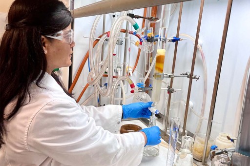 Dr Ruchika Ojha synthesising the gold anticancer drug in the 